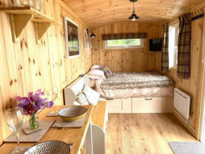 Remarkable Shepherds Hut in a Beautiful Location